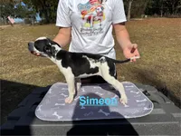 processed/7aa1be06-bc4e-4e06-8522-6ad0f817b976/listing/adfa495d-4a40-4246-a220-0e24f4a103a1/62d946bb-2afc-4a77-aa84-55c4ff54d989