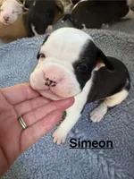 processed/7aa1be06-bc4e-4e06-8522-6ad0f817b976/listing/adfa495d-4a40-4246-a220-0e24f4a103a1/65ec8e2e-503e-4e45-8049-e6aa3985eb1c