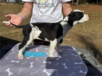 processed/7aa1be06-bc4e-4e06-8522-6ad0f817b976/listing/adfa495d-4a40-4246-a220-0e24f4a103a1/95520742-a378-4cbd-93c7-7fb4a5999199