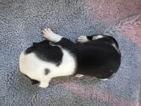 processed/7aa1be06-bc4e-4e06-8522-6ad0f817b976/listing/adfa495d-4a40-4246-a220-0e24f4a103a1/be45824b-2995-43a7-a01b-69f987ec0e56