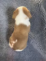 processed/7aa1be06-bc4e-4e06-8522-6ad0f817b976/listing/d3eb2022-37c4-45cf-bf1d-0fb7fc6a8cbe/c33f1c91-855a-45cc-a654-d04bc23492bd