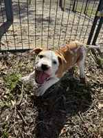 processed/7aa1be06-bc4e-4e06-8522-6ad0f817b976/listing/d3eb2022-37c4-45cf-bf1d-0fb7fc6a8cbe/ce1b4032-d063-466c-9f5b-cea3044cde18