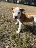 processed/7aa1be06-bc4e-4e06-8522-6ad0f817b976/listing/d3eb2022-37c4-45cf-bf1d-0fb7fc6a8cbe/e72e7f37-2871-4cc4-ac2e-e38c04223797