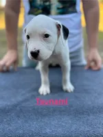 processed/7aa1be06-bc4e-4e06-8522-6ad0f817b976/listing/f7847bee-6c81-4572-82ef-00492c0e0403/1f0eba0a-262c-423c-a9e6-f6db8affc5aa