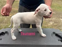 processed/7aa1be06-bc4e-4e06-8522-6ad0f817b976/listing/f7847bee-6c81-4572-82ef-00492c0e0403/857edc50-5fd0-482c-9755-4cb520d79370