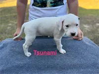 processed/7aa1be06-bc4e-4e06-8522-6ad0f817b976/listing/f7847bee-6c81-4572-82ef-00492c0e0403/ee56e160-9412-42b0-9b95-d542a0db48b5