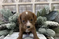 processed/7aa5a4f1-5c7e-4b60-a59f-f2d1f44aed49/listing/00a7a57e-8d00-4012-ae12-d48fda2da080/0f0a5997-798a-47b7-88ce-96343efd534c