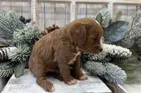 processed/7aa5a4f1-5c7e-4b60-a59f-f2d1f44aed49/listing/00a7a57e-8d00-4012-ae12-d48fda2da080/5edc2a56-badd-4b31-a846-1d7c79d25162