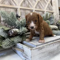 processed/7aa5a4f1-5c7e-4b60-a59f-f2d1f44aed49/listing/00a7a57e-8d00-4012-ae12-d48fda2da080/af9bff0a-4a92-4c2d-aaea-dbf0f79cc8cd