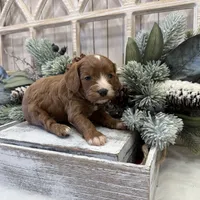 processed/7aa5a4f1-5c7e-4b60-a59f-f2d1f44aed49/listing/00a7a57e-8d00-4012-ae12-d48fda2da080/c5332bfc-8dd8-4826-ad95-d564aa71b8dc