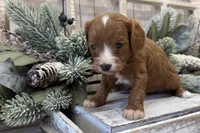 processed/7aa5a4f1-5c7e-4b60-a59f-f2d1f44aed49/listing/00a7a57e-8d00-4012-ae12-d48fda2da080/db00395d-5056-4f23-b55a-0260997dd4f0