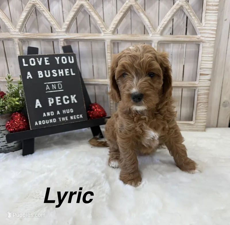 Lyric
