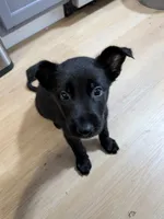 processed/7aa9ce31-d479-44dd-80ec-214cc88a6d19/listing/63ef979d-f966-403c-989c-dc52b95bd13e/0d65af0a-6c91-4fdc-9942-0a87c36f261c