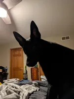 processed/7aa9ce31-d479-44dd-80ec-214cc88a6d19/listing/63ef979d-f966-403c-989c-dc52b95bd13e/a931bc9d-0046-4f40-bcac-9d219f2198ab