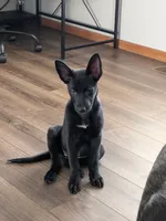 processed/7aa9ce31-d479-44dd-80ec-214cc88a6d19/listing/63ef979d-f966-403c-989c-dc52b95bd13e/b773c95f-0eeb-4924-a3fb-70de99eb45ee