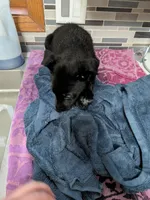 processed/7aa9ce31-d479-44dd-80ec-214cc88a6d19/listing/cd419f21-734e-46c8-b945-6cd057ef016f/0a0a0a33-2bdf-47a9-8e26-cdb1de8ca14b