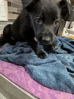 processed/7aa9ce31-d479-44dd-80ec-214cc88a6d19/listing/cd419f21-734e-46c8-b945-6cd057ef016f/0e4d4337-8e0e-41bd-a980-9f513338e32d