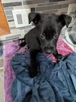 processed/7aa9ce31-d479-44dd-80ec-214cc88a6d19/listing/cd419f21-734e-46c8-b945-6cd057ef016f/2c23891e-0dee-4ae6-a6d5-090878018a30