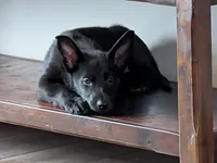 processed/7aa9ce31-d479-44dd-80ec-214cc88a6d19/listing/cd419f21-734e-46c8-b945-6cd057ef016f/71a9bb48-4ffa-4a92-85e2-5d7b3eca9cd7