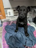 processed/7aa9ce31-d479-44dd-80ec-214cc88a6d19/listing/cd419f21-734e-46c8-b945-6cd057ef016f/73554cc9-88de-4375-bfe6-7085af596bfb