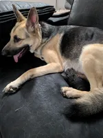 processed/7aa9ce31-d479-44dd-80ec-214cc88a6d19/listing/cd419f21-734e-46c8-b945-6cd057ef016f/7adcfe17-ed09-4dd5-b631-7d745964794a