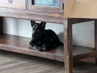 processed/7aa9ce31-d479-44dd-80ec-214cc88a6d19/listing/cd419f21-734e-46c8-b945-6cd057ef016f/acbcdcfc-7987-4000-930a-2f0a2678bdcd