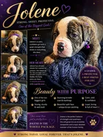 Jolene, a female American Bulldog for sale in Mcdonough, GA – 1 of 6