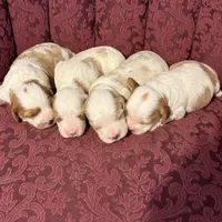 processed/7aae6a23-8fc7-44a8-99a7-9da5db081d83/facility/47aae018-6393-479f-a606-21e14760e9da