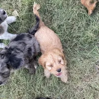 processed/7aae6a23-8fc7-44a8-99a7-9da5db081d83/facility/98120aa5-40c2-4842-861f-08204ba24a39