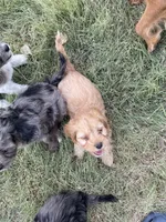 processed/7aae6a23-8fc7-44a8-99a7-9da5db081d83/facility/98120aa5-40c2-4842-861f-08204ba24a39