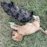 processed/7aae6a23-8fc7-44a8-99a7-9da5db081d83/facility/ac56f3e8-3ec6-41c7-b166-6a4454c5ea3a