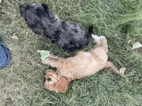 processed/7aae6a23-8fc7-44a8-99a7-9da5db081d83/facility/ac56f3e8-3ec6-41c7-b166-6a4454c5ea3a