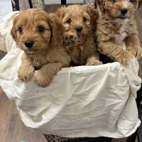 processed/7aae6a23-8fc7-44a8-99a7-9da5db081d83/facility/b84e0a03-8e1e-401e-817b-742aa72b6070