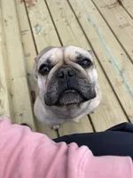 processed/7aae8f0a-32a3-4f18-aa02-9c352bdcf259/listing/54f5e31c-764b-4dc2-9fc5-b26c1cd74262/ee647625-4e47-4fbd-9632-9978d2c7720f