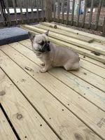 processed/7aae8f0a-32a3-4f18-aa02-9c352bdcf259/listing/54f5e31c-764b-4dc2-9fc5-b26c1cd74262/fd6caa8b-6766-45a1-a262-431160d4217f