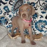 processed/7aaf8907-8395-4a8c-ad26-b06dd162af87/facility/4ffbc8cf-d8a3-4251-88e3-91e8e9fc7a73