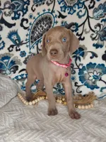 processed/7aaf8907-8395-4a8c-ad26-b06dd162af87/facility/4ffbc8cf-d8a3-4251-88e3-91e8e9fc7a73