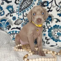 processed/7aaf8907-8395-4a8c-ad26-b06dd162af87/facility/7cbb7060-2a68-4e89-b30e-dd1aa1416676