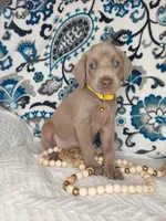 processed/7aaf8907-8395-4a8c-ad26-b06dd162af87/facility/7cbb7060-2a68-4e89-b30e-dd1aa1416676