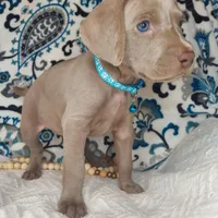 processed/7aaf8907-8395-4a8c-ad26-b06dd162af87/facility/c1bd1bf5-595d-475f-8eb0-7c9078c82712