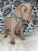 processed/7aaf8907-8395-4a8c-ad26-b06dd162af87/facility/c1bd1bf5-595d-475f-8eb0-7c9078c82712