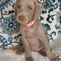 processed/7aaf8907-8395-4a8c-ad26-b06dd162af87/facility/f70a2b79-f8b8-4f58-8b25-2fa97a2f9ce2