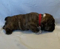 processed/7ab807b7-7a04-461c-a969-3d98cf541e1e/listing/502edf46-dda6-4c89-867d-95890fc47361/2c73a747-2717-4598-afa9-7be0b4aa6f11