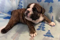 processed/7ab807b7-7a04-461c-a969-3d98cf541e1e/listing/502edf46-dda6-4c89-867d-95890fc47361/5a3b2f0f-8a53-4cea-a69d-3e7577c92185