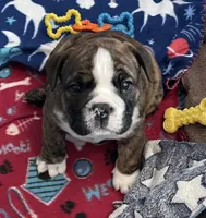 processed/7ab807b7-7a04-461c-a969-3d98cf541e1e/listing/502edf46-dda6-4c89-867d-95890fc47361/72b587bc-3b70-4d4d-beed-35f02a1d6a8c