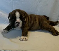 processed/7ab807b7-7a04-461c-a969-3d98cf541e1e/listing/502edf46-dda6-4c89-867d-95890fc47361/9e573866-72ec-4c32-b6e2-28cbca8e668c