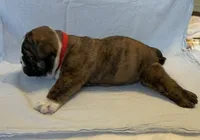 processed/7ab807b7-7a04-461c-a969-3d98cf541e1e/listing/502edf46-dda6-4c89-867d-95890fc47361/c172d9c5-df8f-4515-ac47-f32e0172cdde