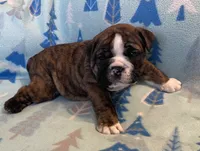 processed/7ab807b7-7a04-461c-a969-3d98cf541e1e/listing/502edf46-dda6-4c89-867d-95890fc47361/d09aadba-d670-417c-b4b7-a2f0ce8e337b