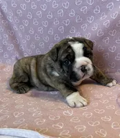 processed/7ab807b7-7a04-461c-a969-3d98cf541e1e/listing/90b3dfb2-f5df-4b45-9c18-321420f86665/13c44654-7428-4a26-aaf2-780cd86b580f