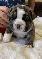 processed/7ab807b7-7a04-461c-a969-3d98cf541e1e/listing/90b3dfb2-f5df-4b45-9c18-321420f86665/234243d9-4f77-4176-ba1d-3a7deff0eaa7